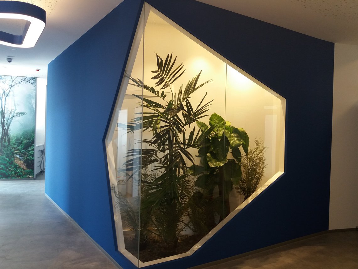 Offene Wand mit Glasausschnit zur Besichtigung dahinter liegender Pflanzen